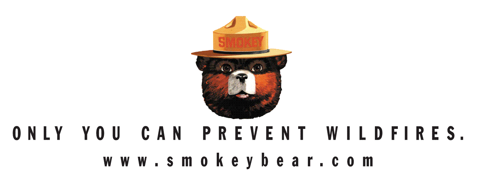 Smokey the Bear